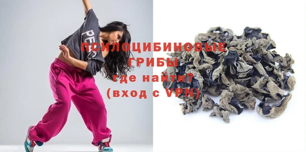 a pvp Бородино