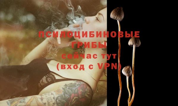 a pvp Бородино
