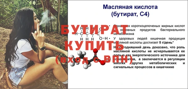 a pvp Бородино