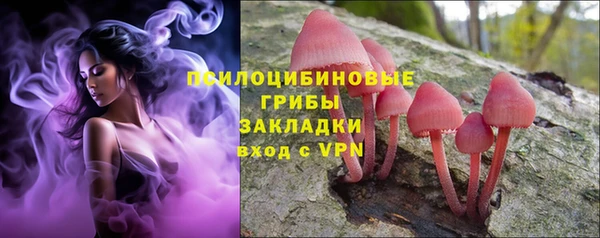 хмурый Горняк